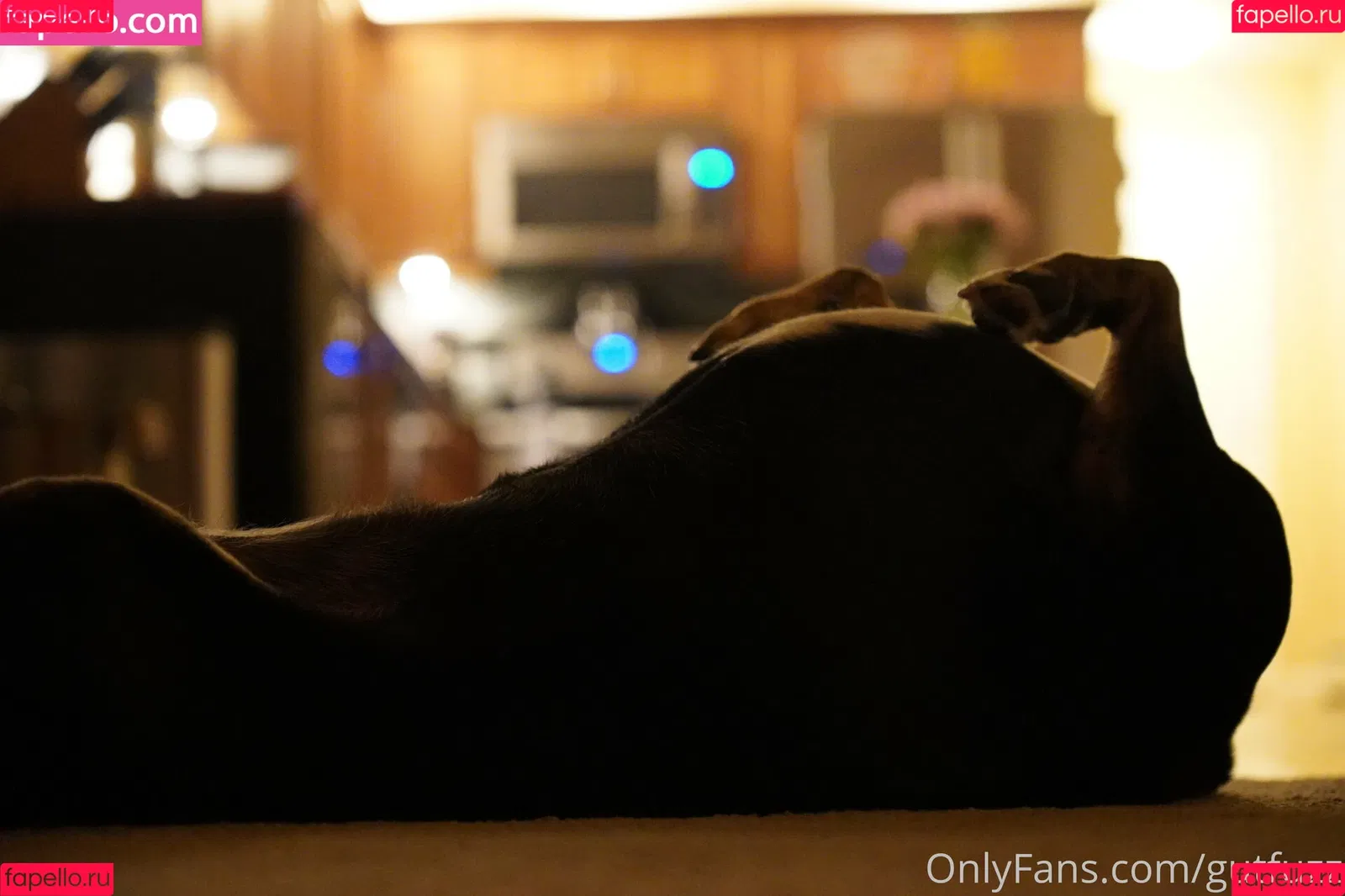 gutfuzz Onlyfans Photo Gallery 