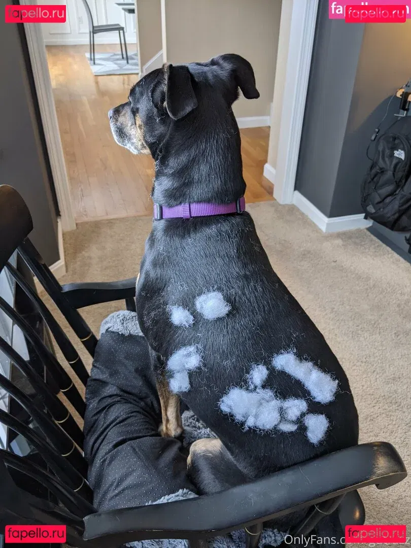 gutfuzz Onlyfans Photo Gallery 