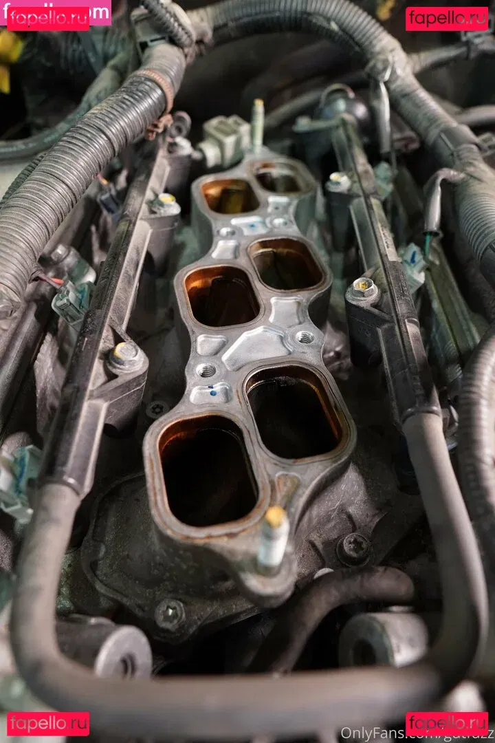 gutfuzz Onlyfans Photo Gallery 