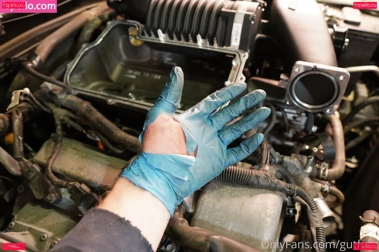 gutfuzz Onlyfans Photo Gallery 