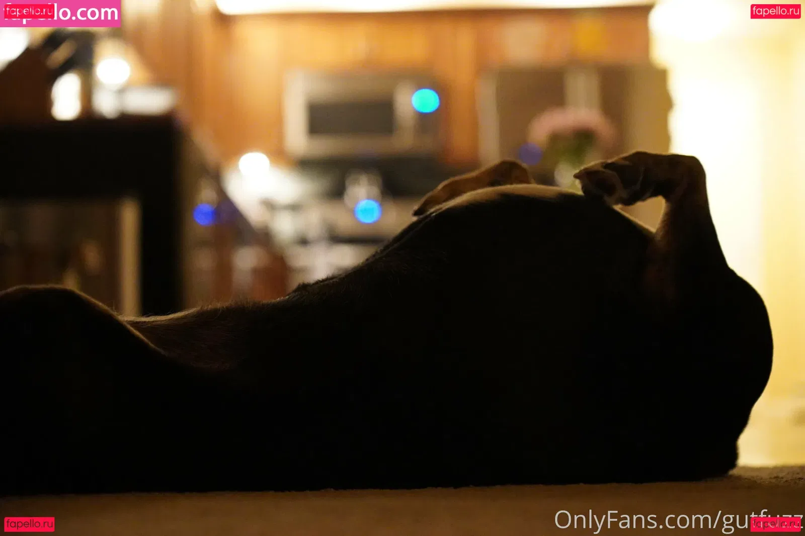 gutfuzz Onlyfans Photo Gallery 