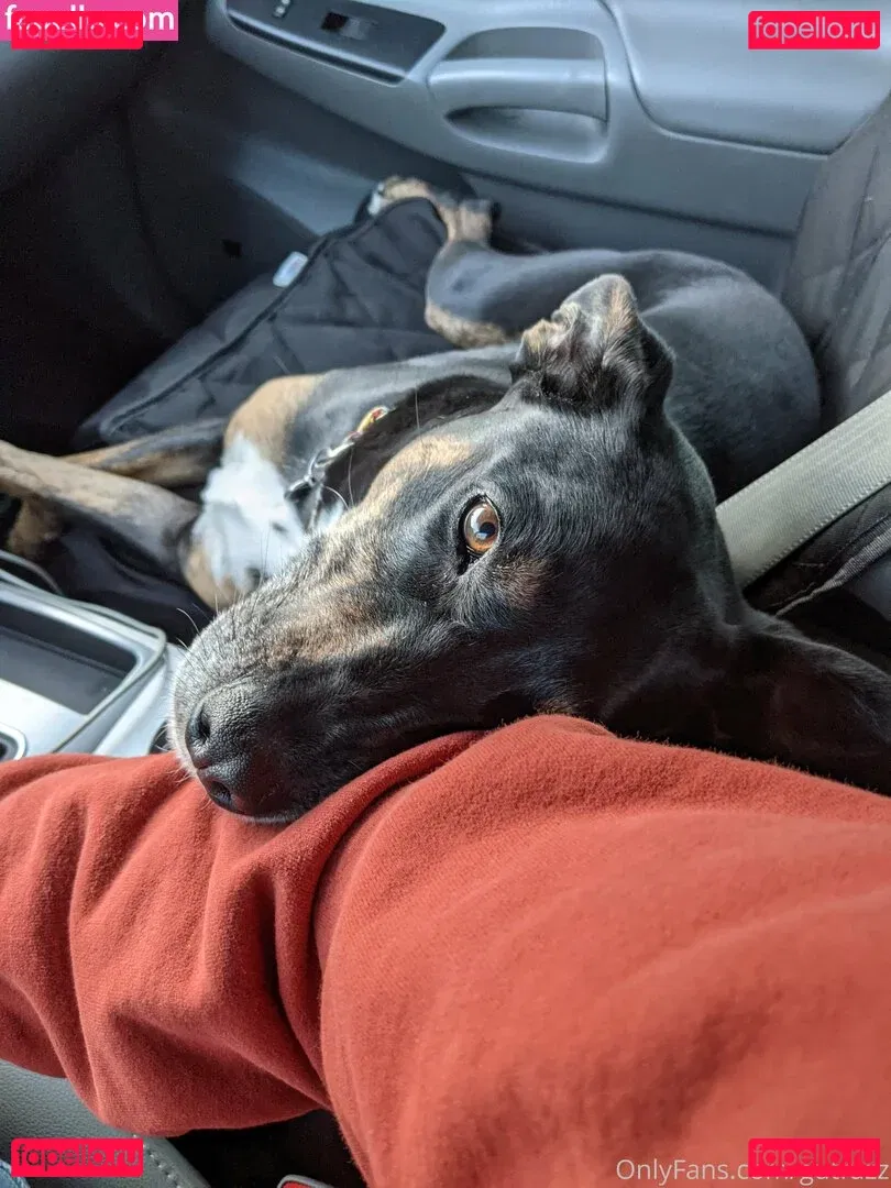 gutfuzz Onlyfans Photo Gallery 