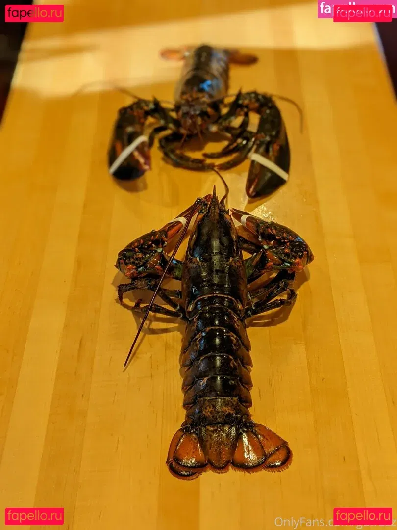 gutfuzz Onlyfans Photo Gallery 