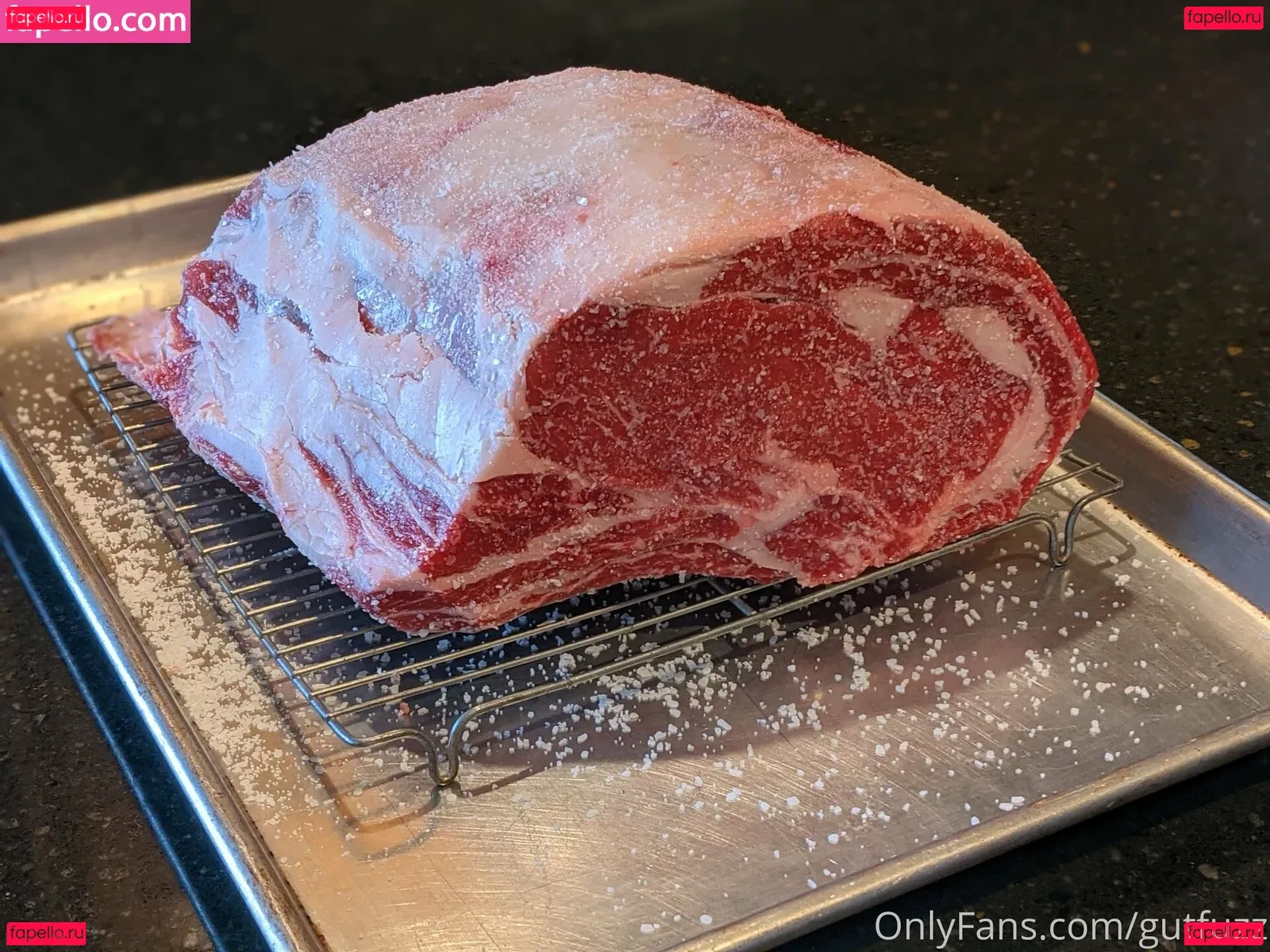 gutfuzz Onlyfans Photo Gallery 