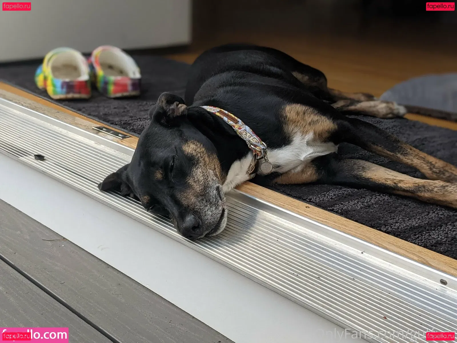 gutfuzz Onlyfans Photo Gallery 