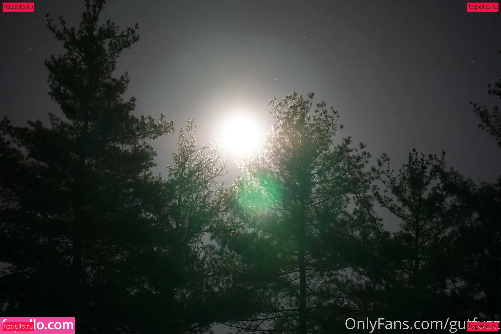 gutfuzz Onlyfans Photo Gallery 