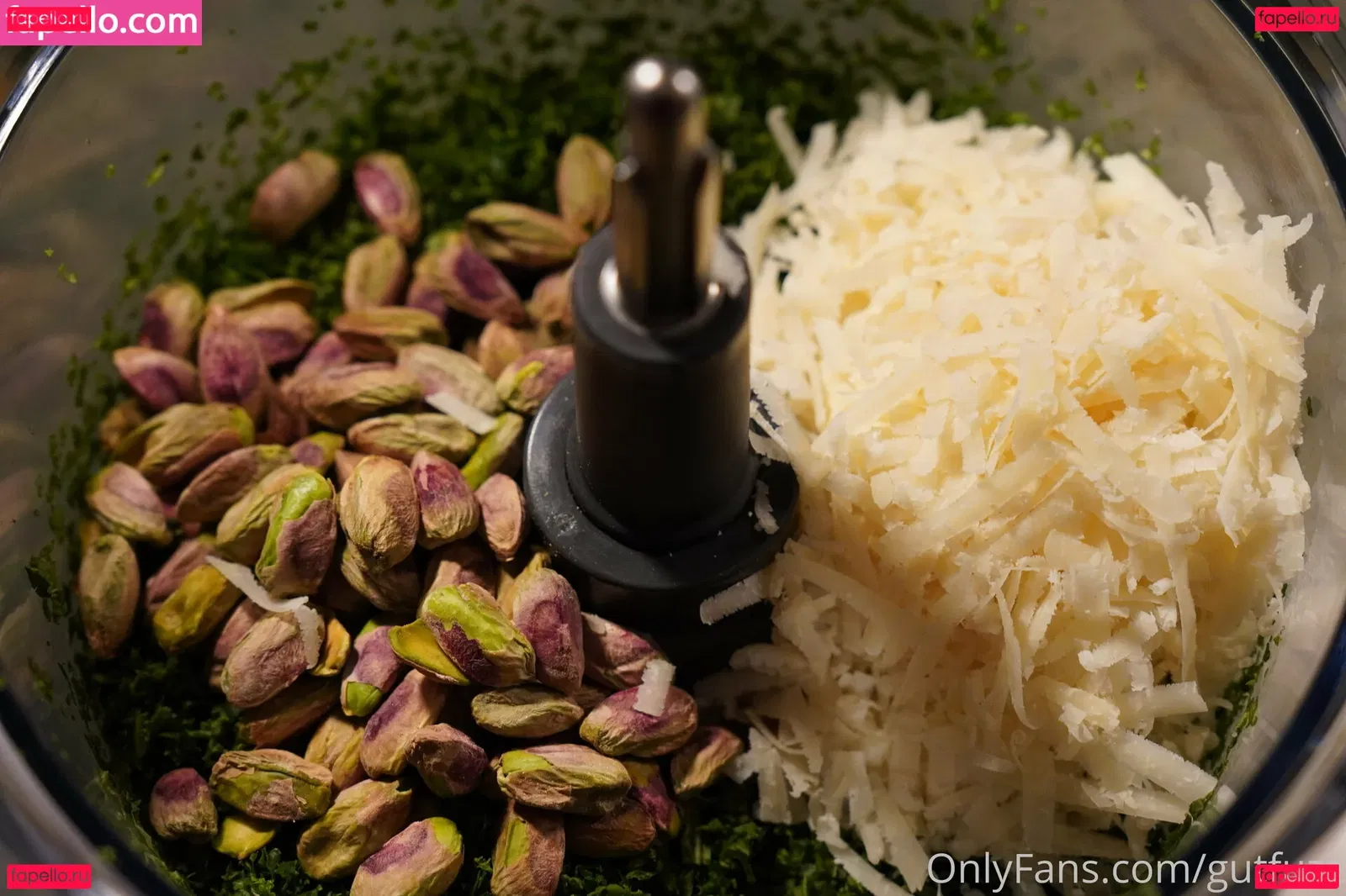 gutfuzz Onlyfans Photo Gallery 