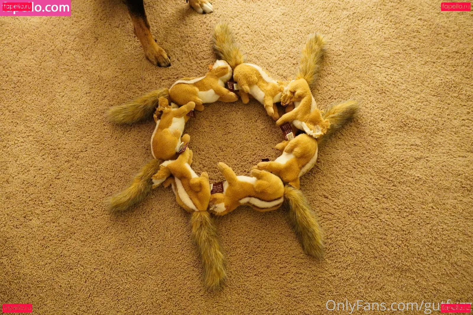 gutfuzz Onlyfans Photo Gallery 