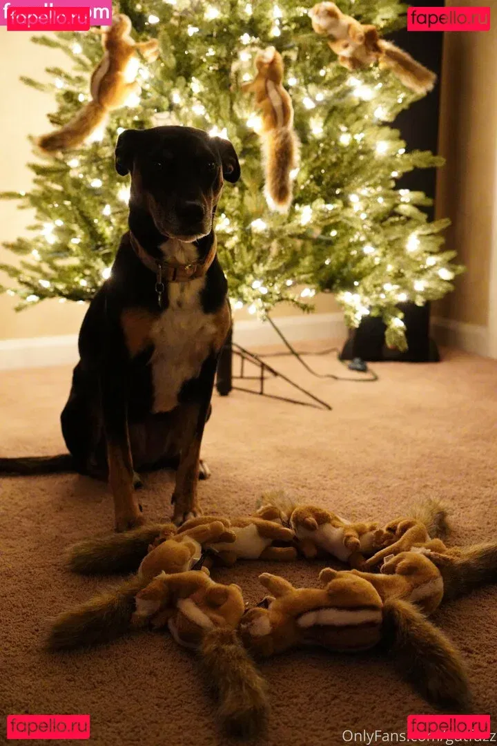 gutfuzz Onlyfans Photo Gallery 