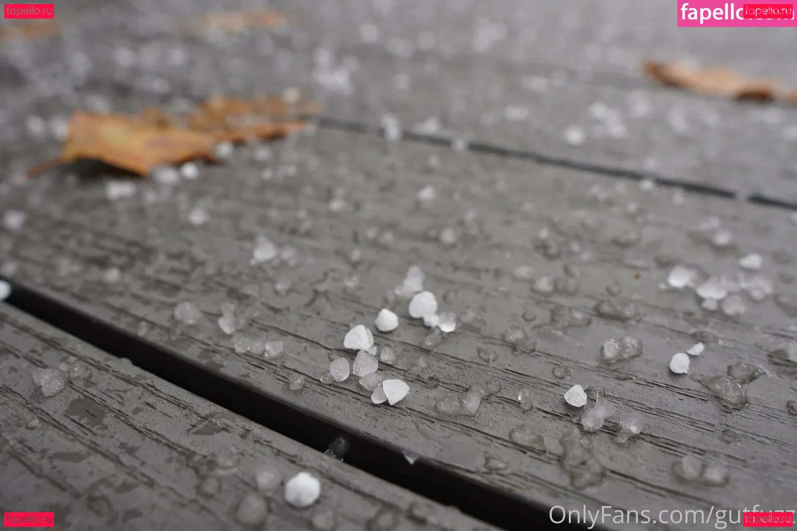 gutfuzz Onlyfans Photo Gallery 