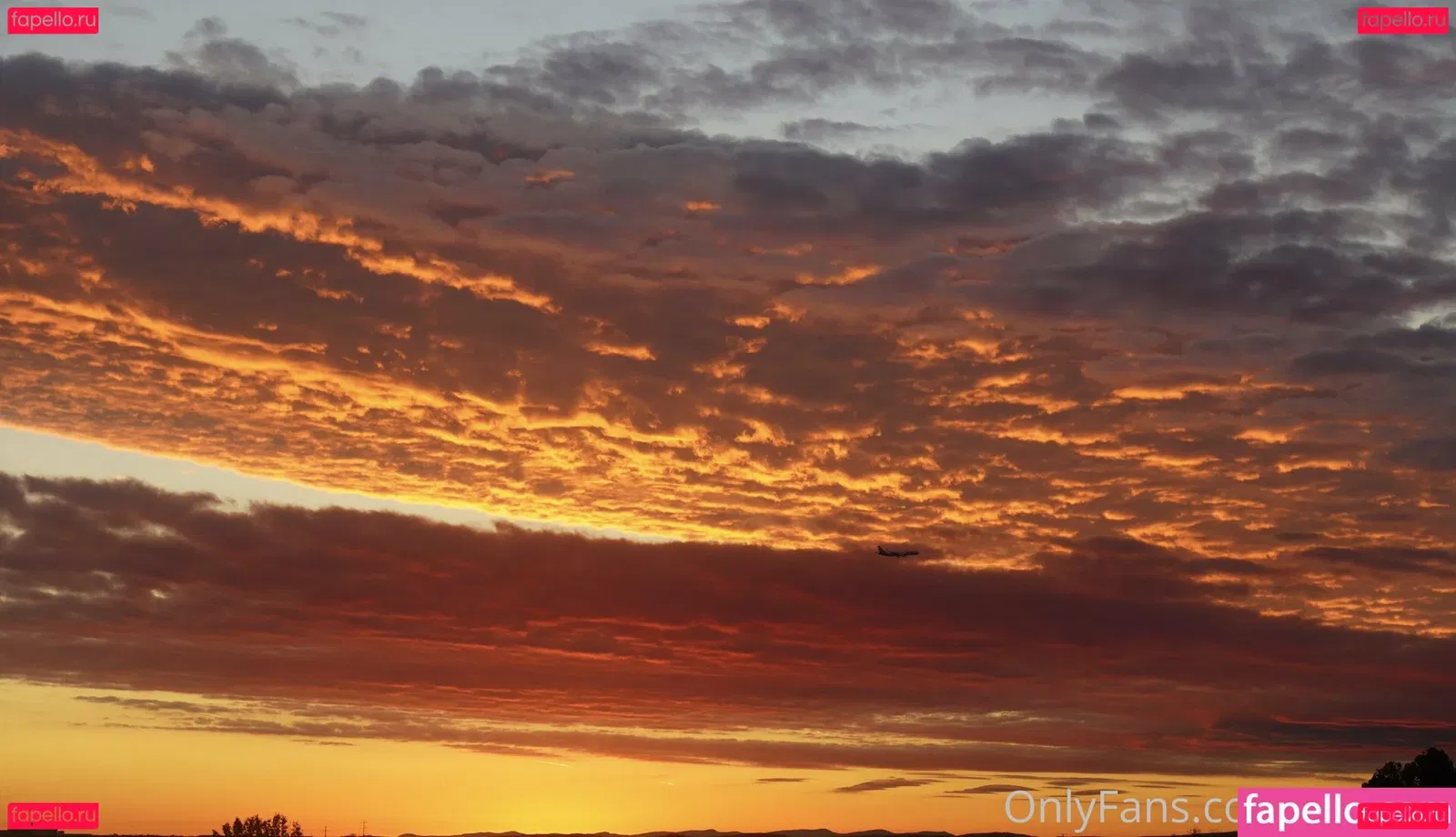 gutfuzz Onlyfans Photo Gallery 