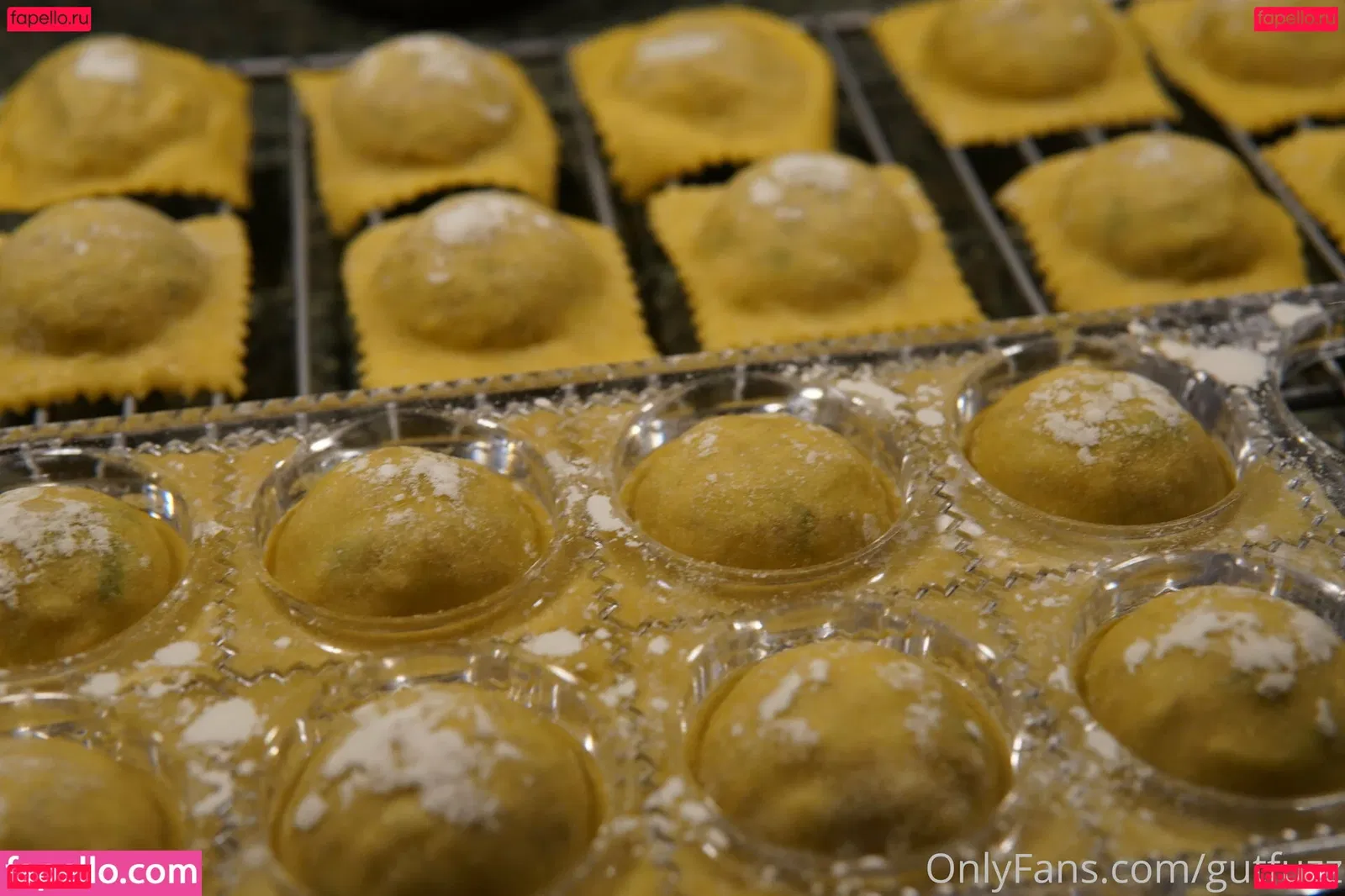 gutfuzz Onlyfans Photo Gallery 