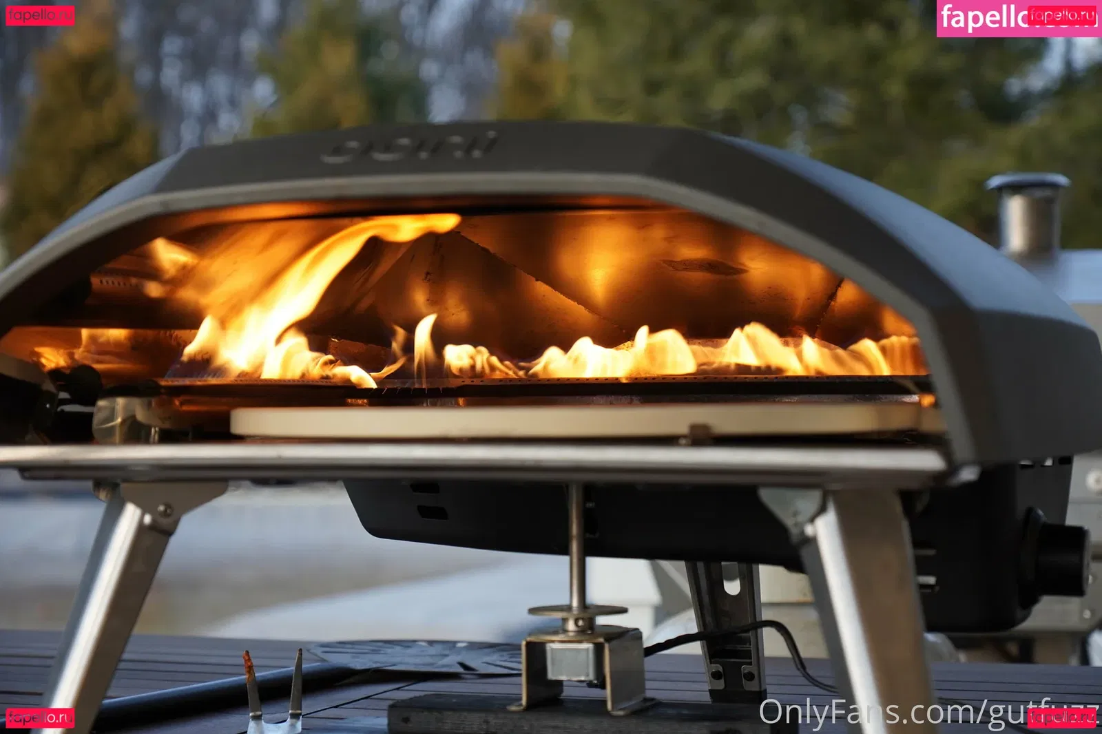 gutfuzz Onlyfans Photo Gallery 