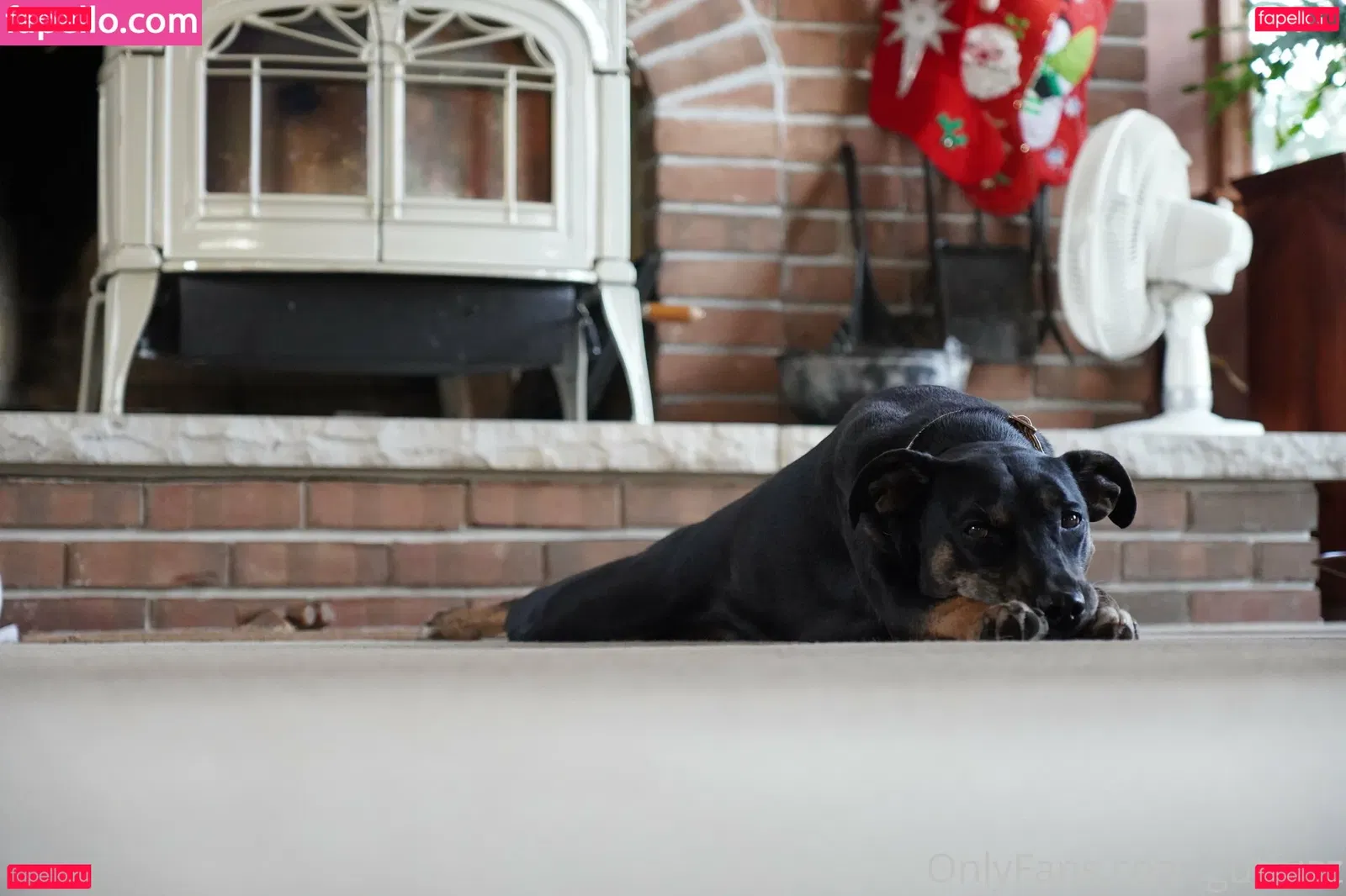 gutfuzz Onlyfans Photo Gallery 