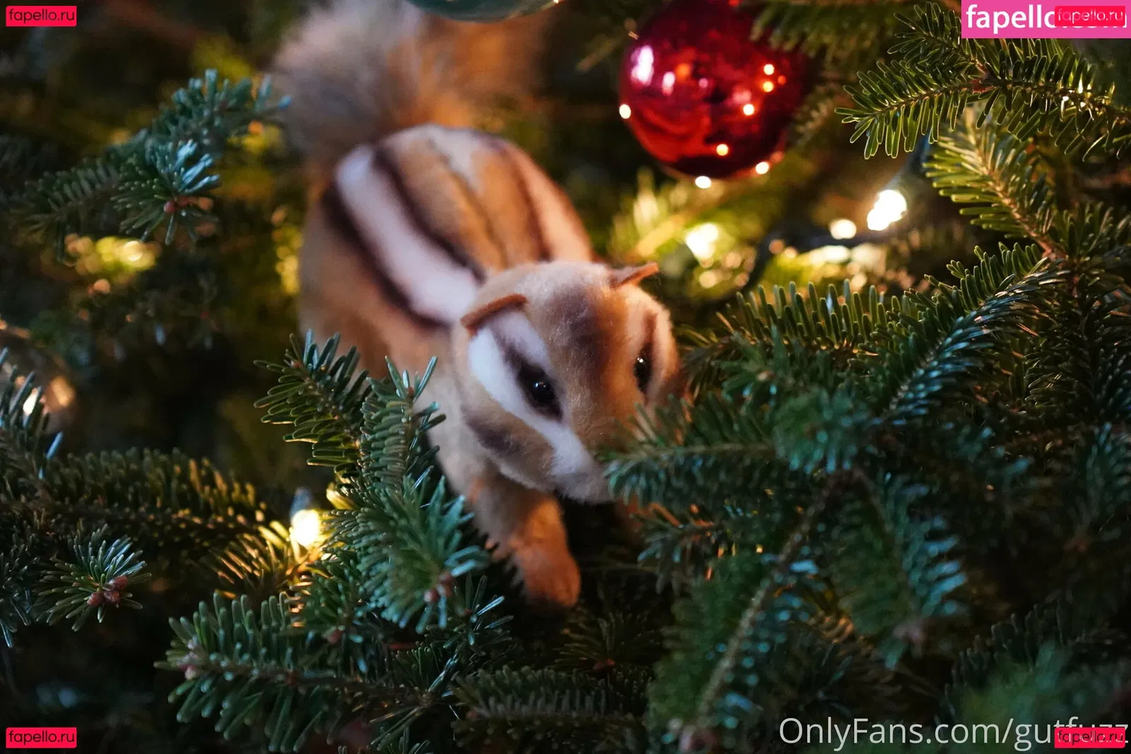 gutfuzz Onlyfans Photo Gallery 