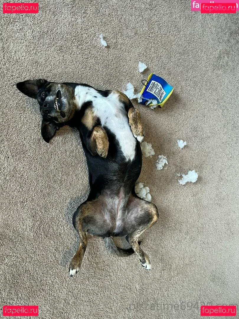 gutfuzz Onlyfans Photo Gallery 