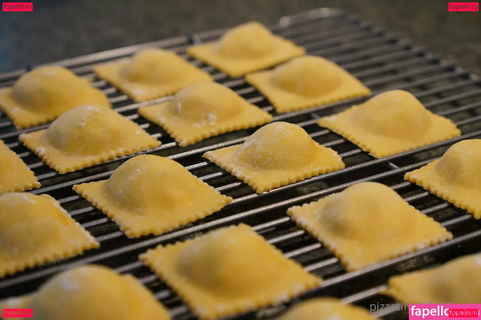 gutfuzz Onlyfans Photo Gallery 