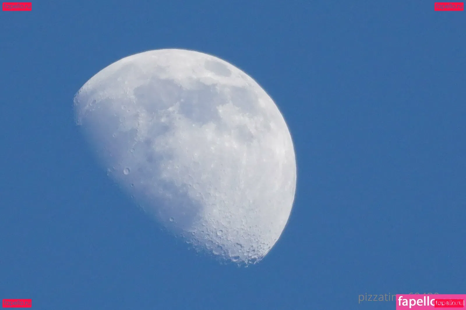 gutfuzz Onlyfans Photo Gallery 