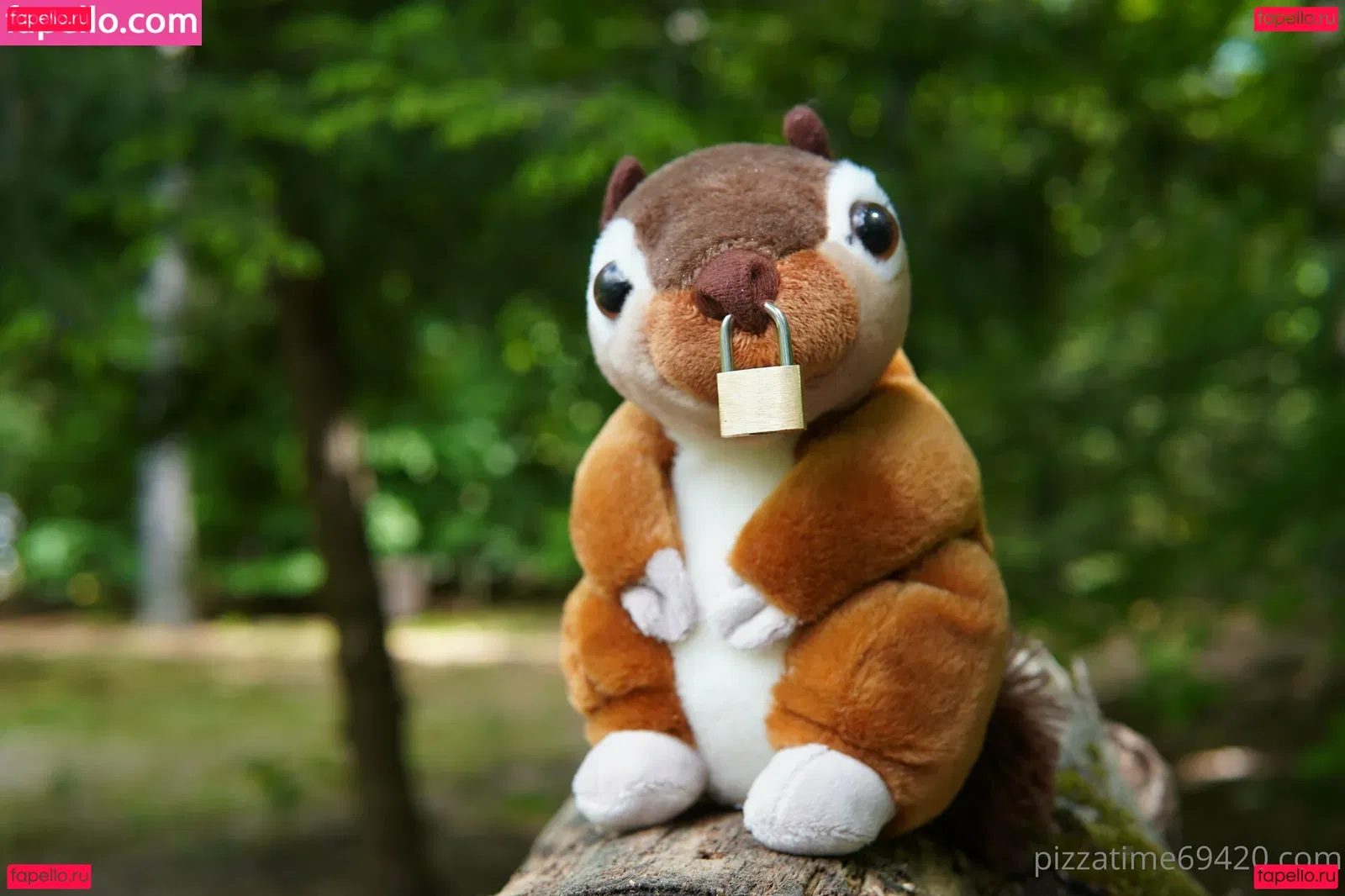 gutfuzz Onlyfans Photo Gallery 