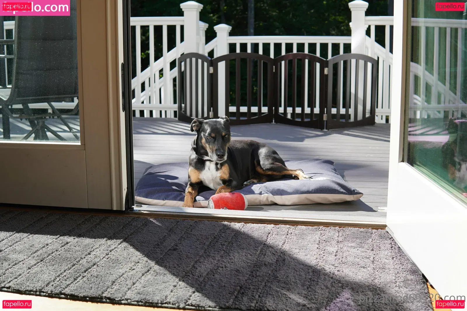 gutfuzz Onlyfans Photo Gallery 