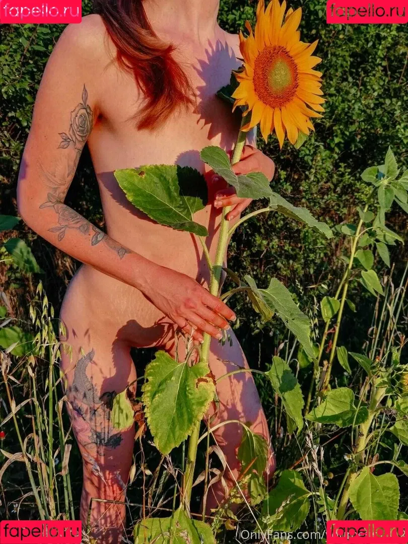 youmeus1312 Onlyfans Photo Gallery 