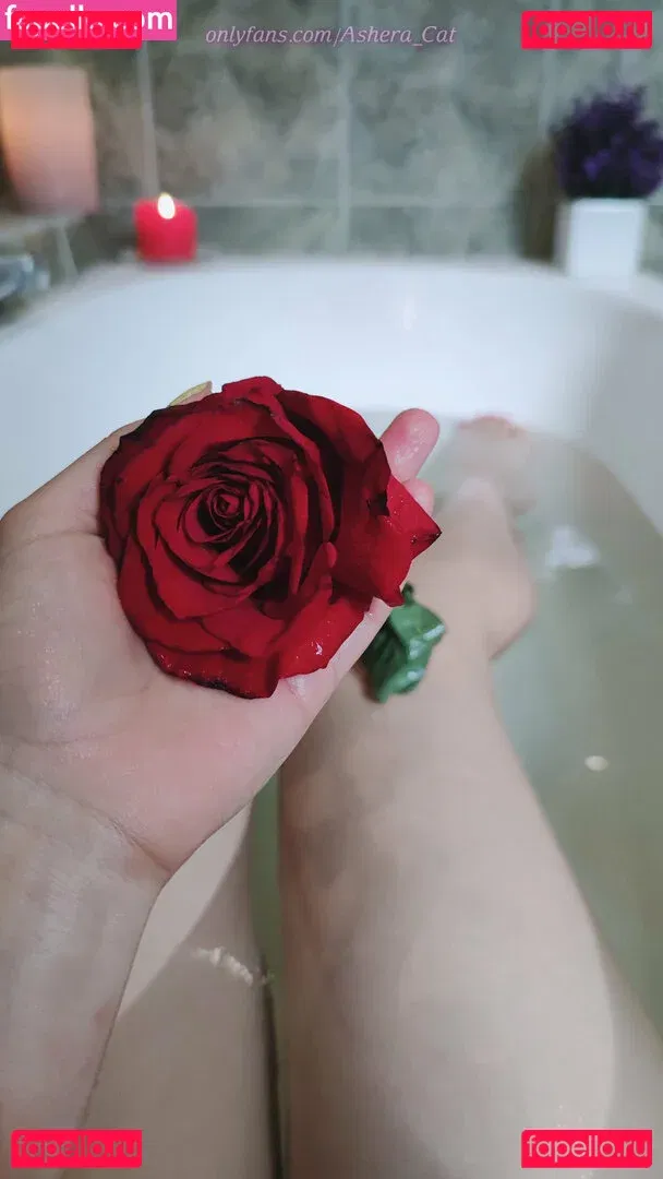 ashera_cat Onlyfans Photo Gallery 