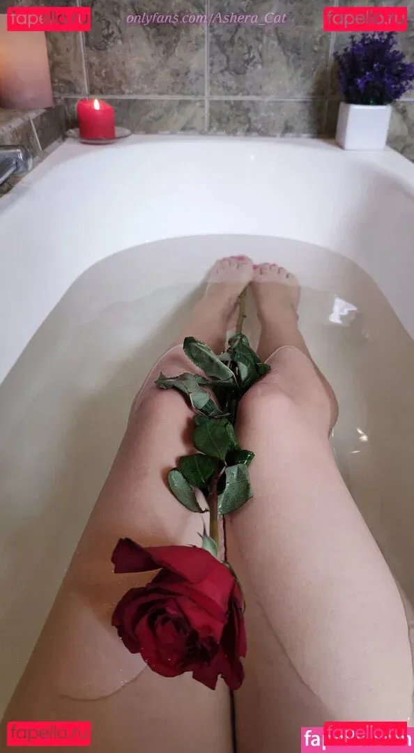 ashera_cat Onlyfans Photo Gallery 