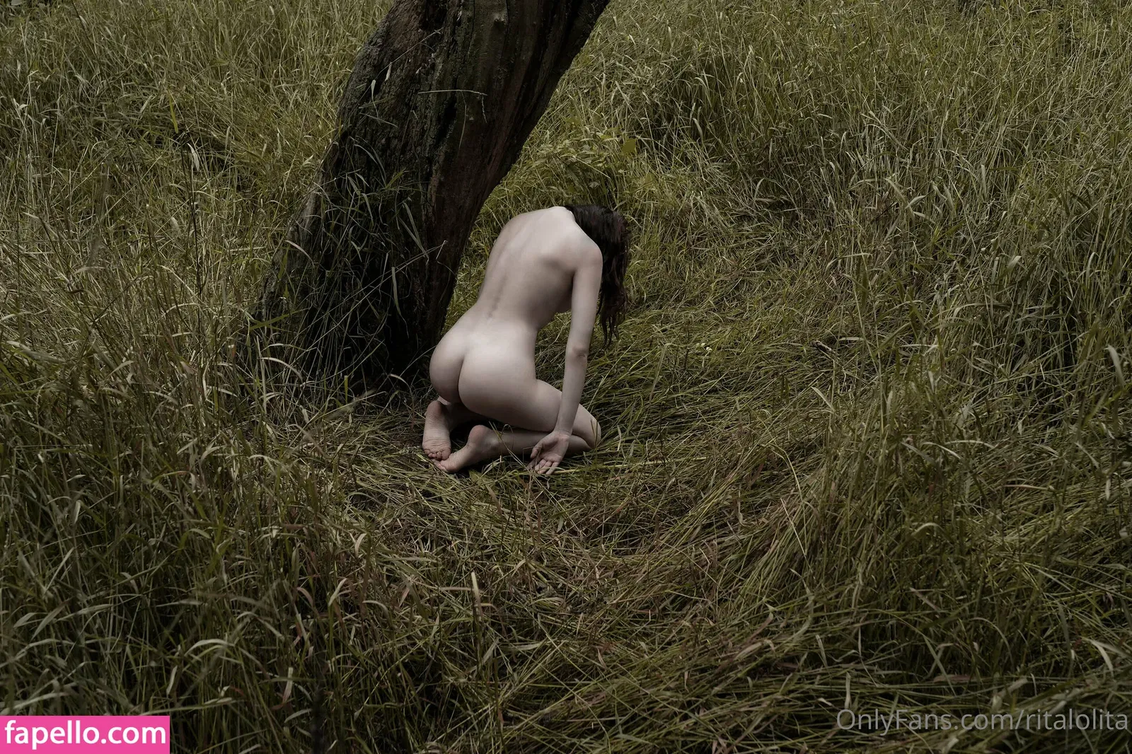 Rita Stark Onlyfans Photo Gallery 