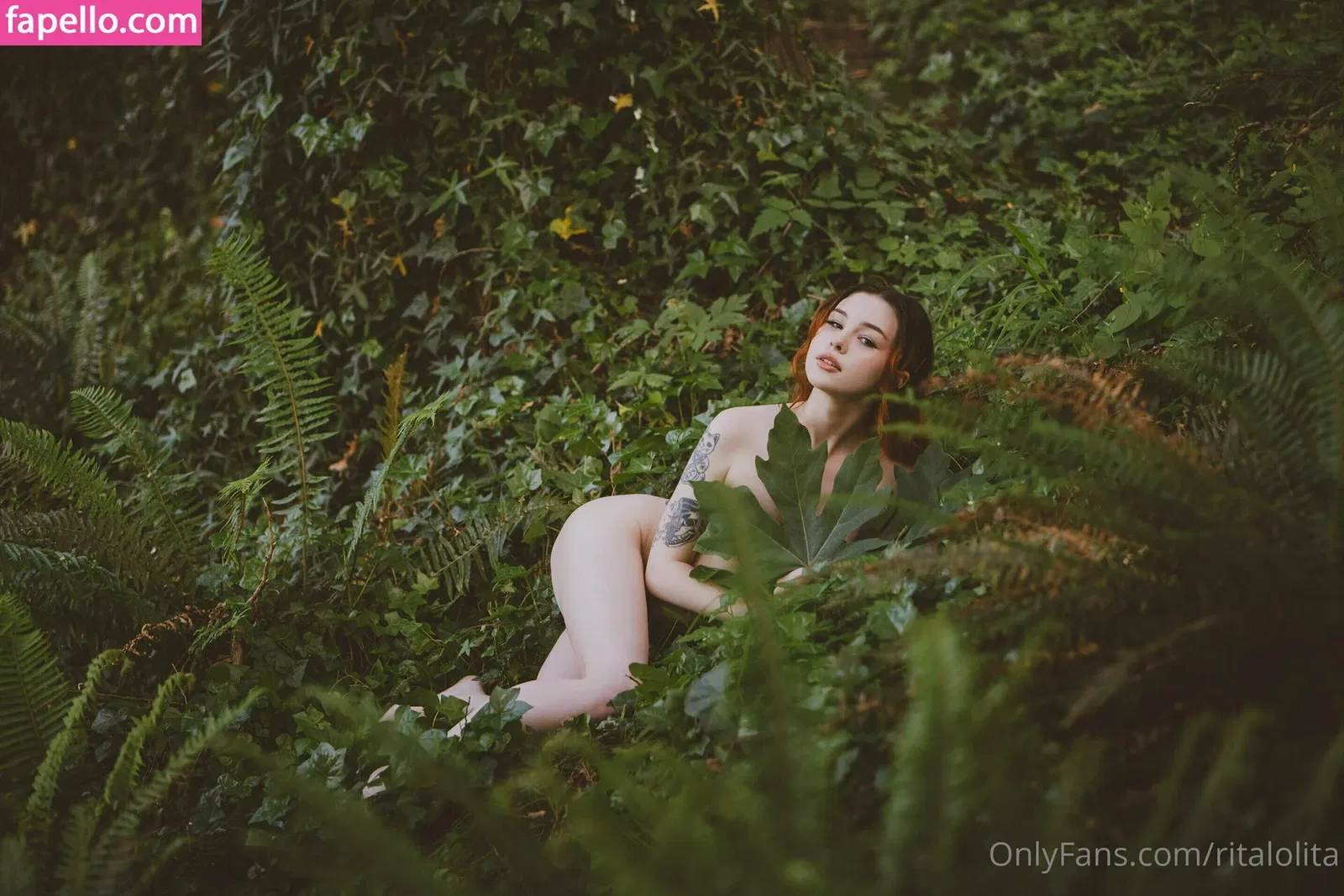 Rita Stark Onlyfans Photo Gallery 