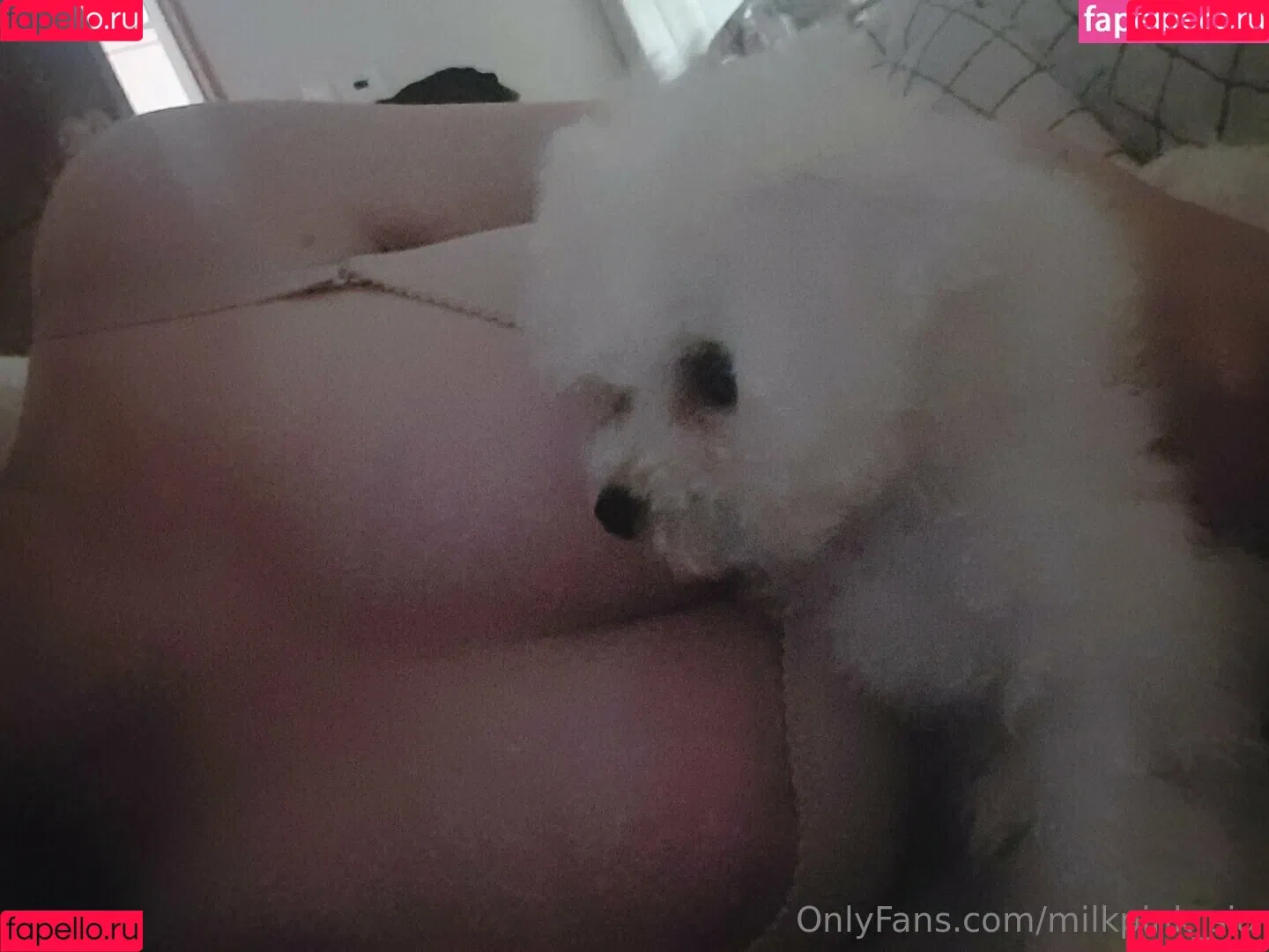 milkpink_sia Onlyfans Photo Gallery 