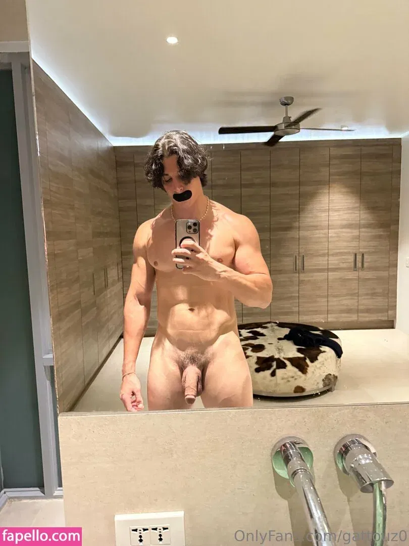 gattouz0 Onlyfans Photo Gallery 