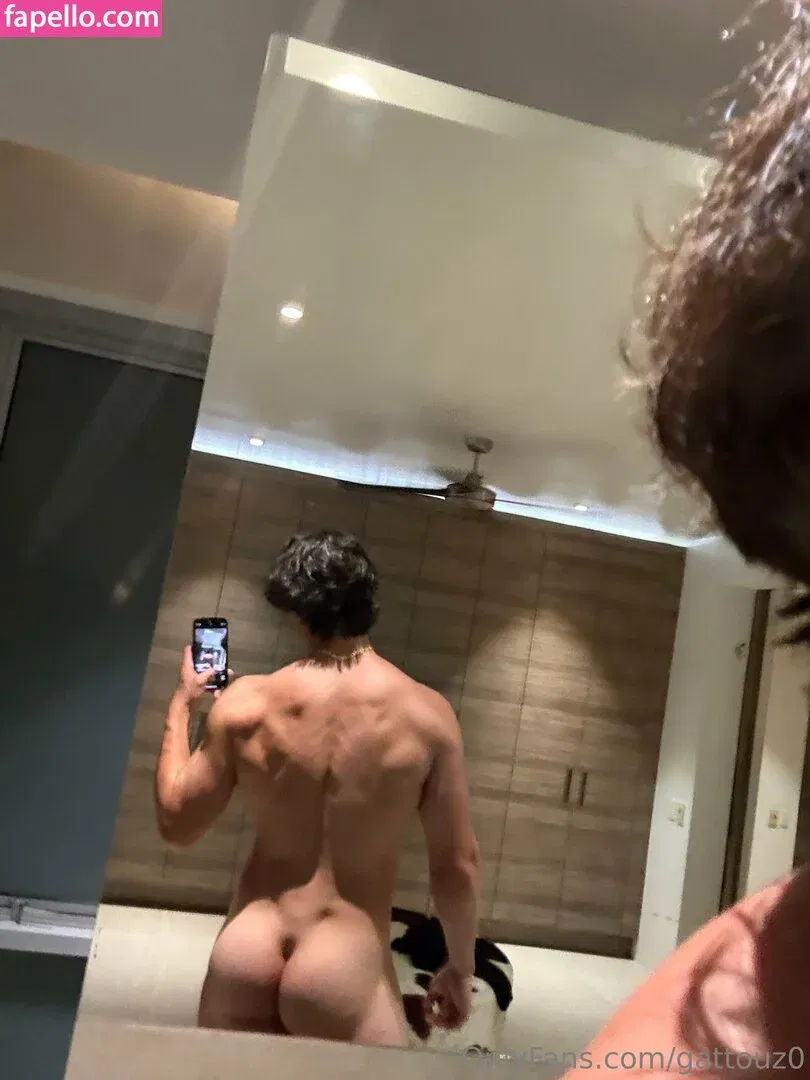 gattouz0 Onlyfans Photo Gallery 