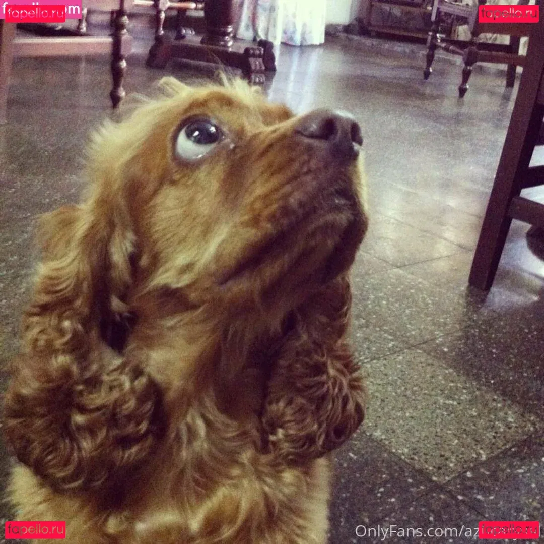 Azucarysal Onlyfans Photo Gallery 