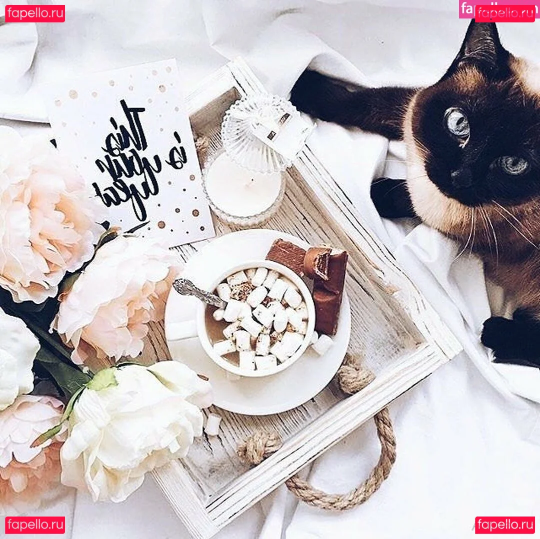 allwene_free Onlyfans Photo Gallery 