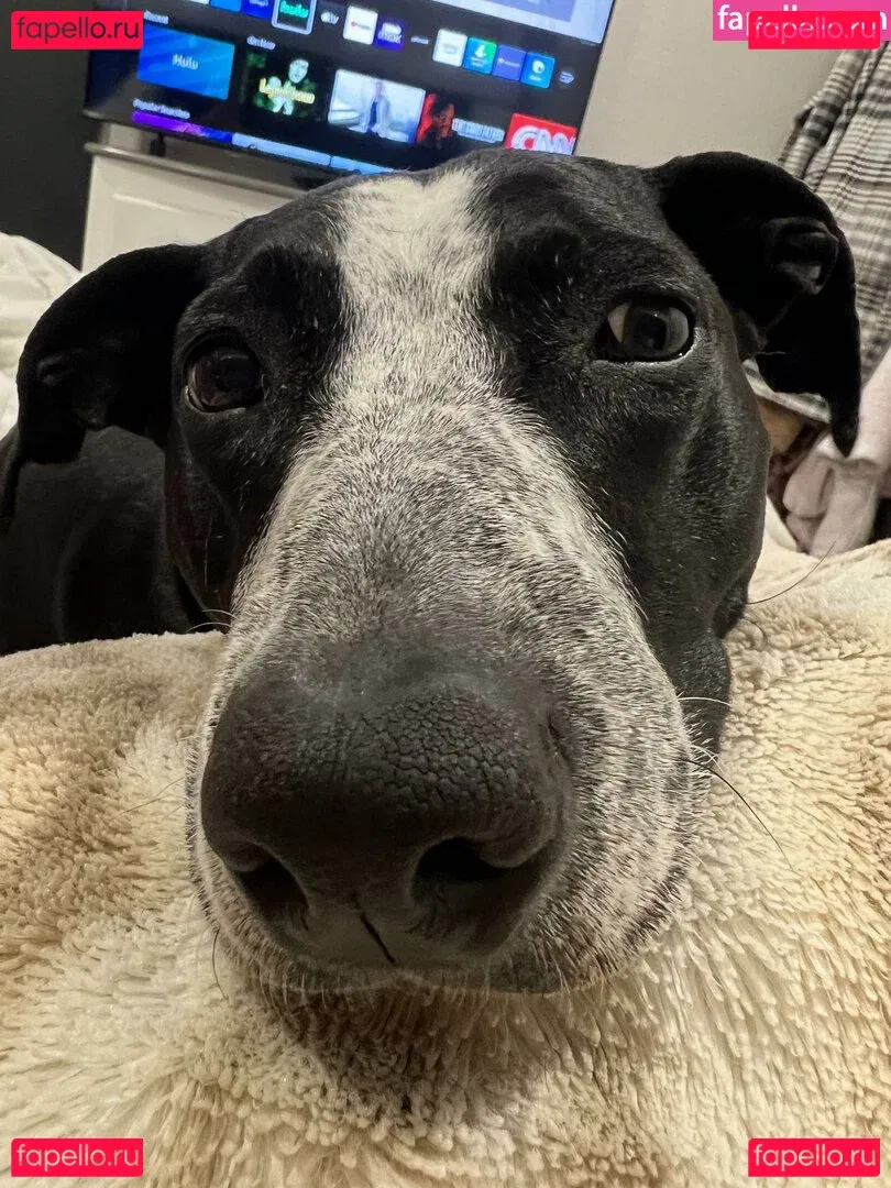 Leeza Onlyfans Photo Gallery 