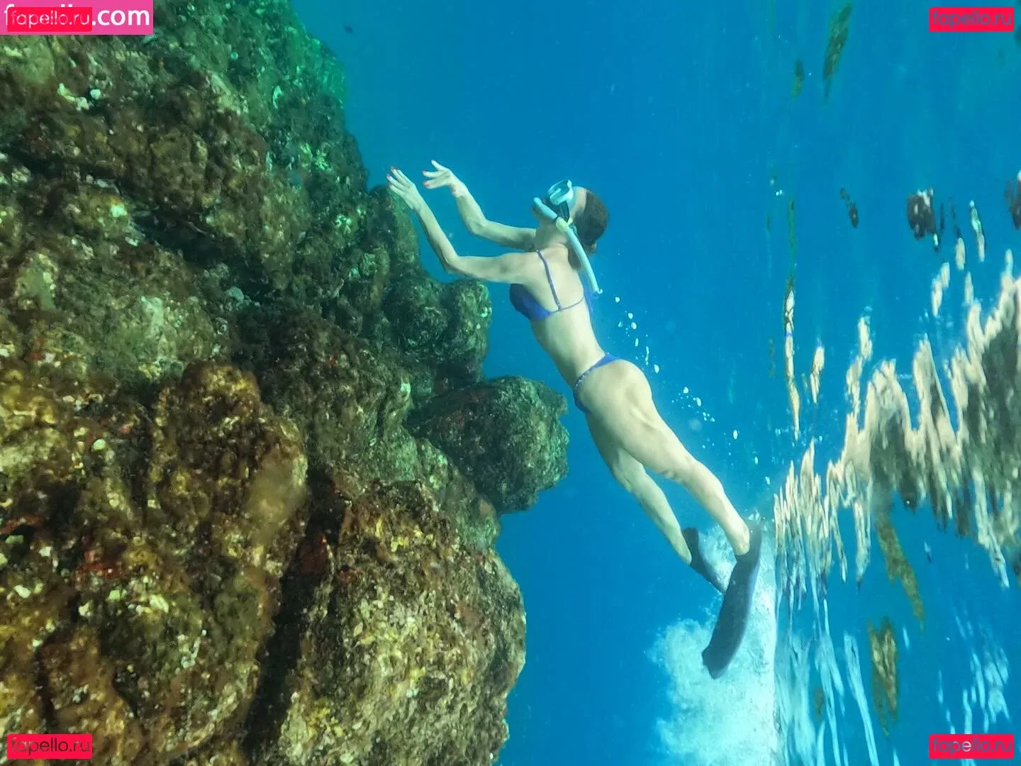 Ana Carolina Madeira Onlyfans Photo Gallery 