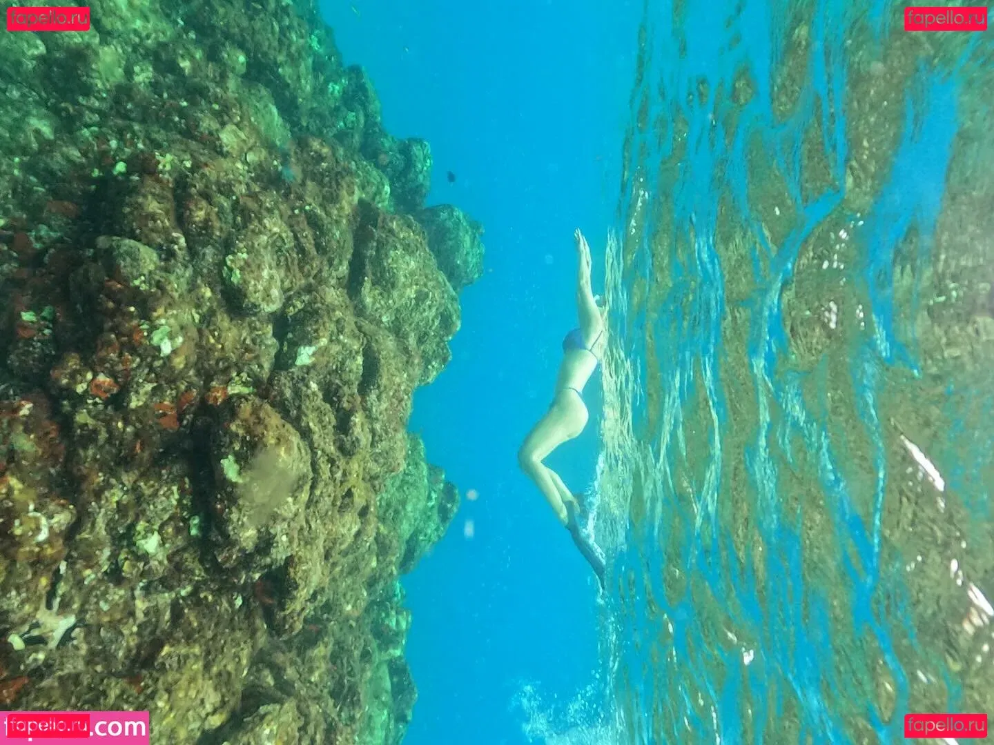 Ana Carolina Madeira Onlyfans Photo Gallery 