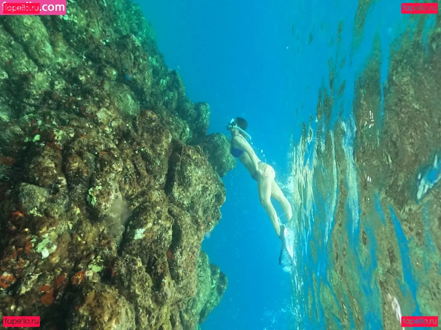 Ana Carolina Madeira Onlyfans Photo Gallery 