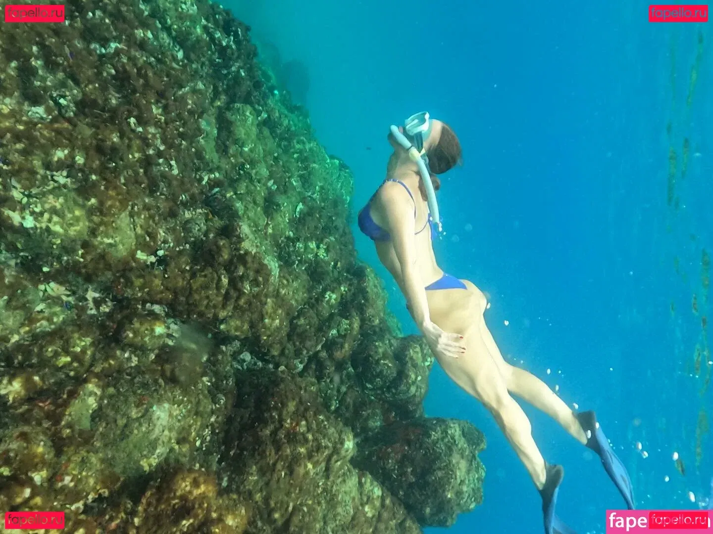 Ana Carolina Madeira Onlyfans Photo Gallery 