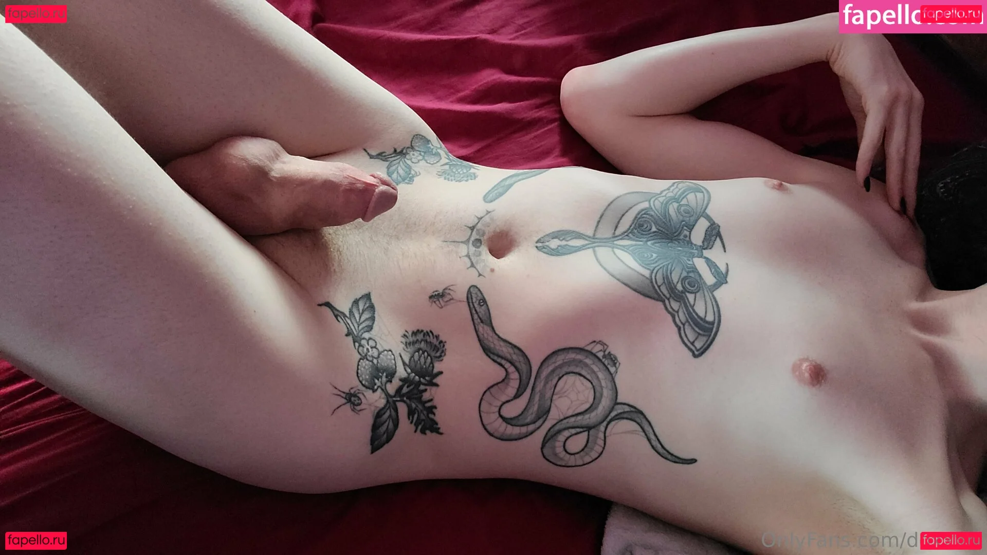 doxxxie Onlyfans Photo Gallery 