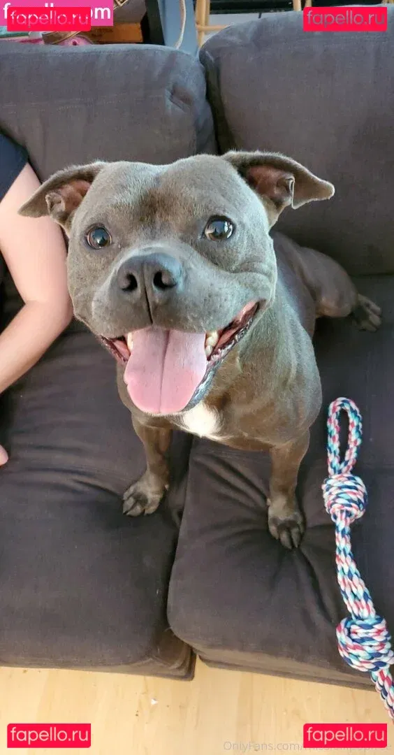 laceyroyce Onlyfans Photo Gallery 