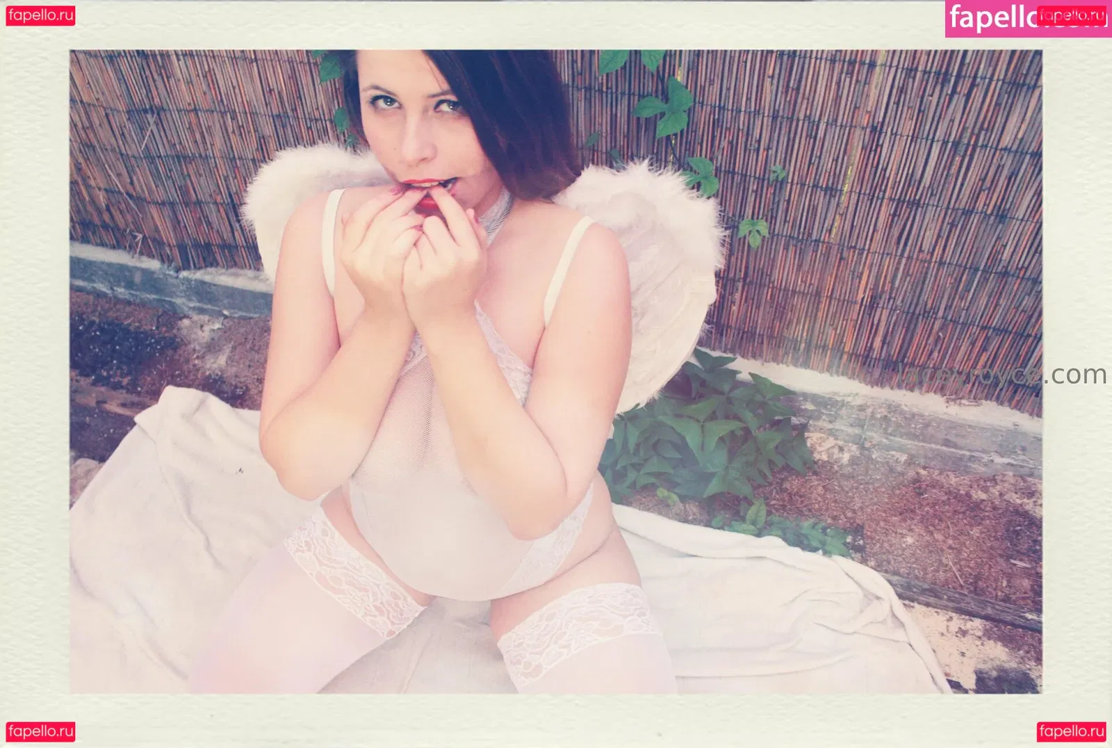 laceyroyce Onlyfans Photo Gallery 