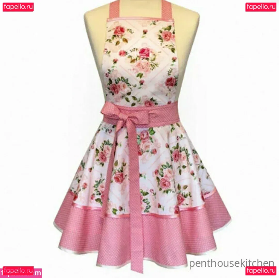 penthousekitchen Onlyfans Photo Gallery 