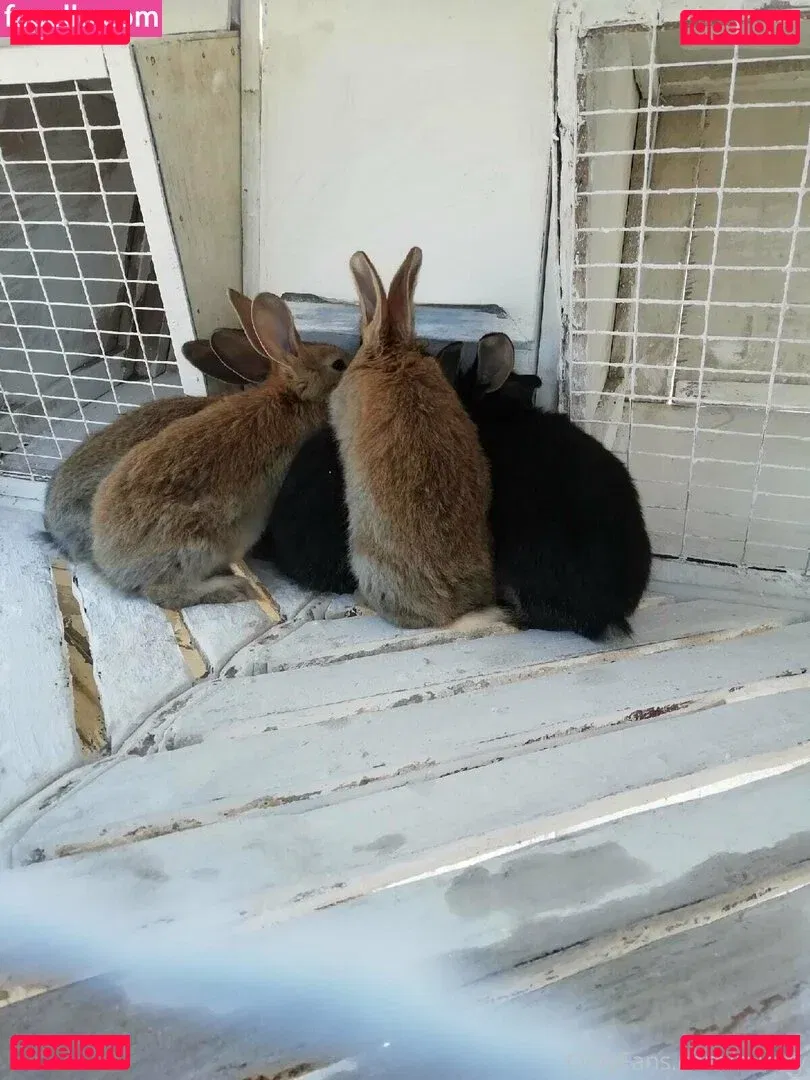 mirniy Onlyfans Photo Gallery 