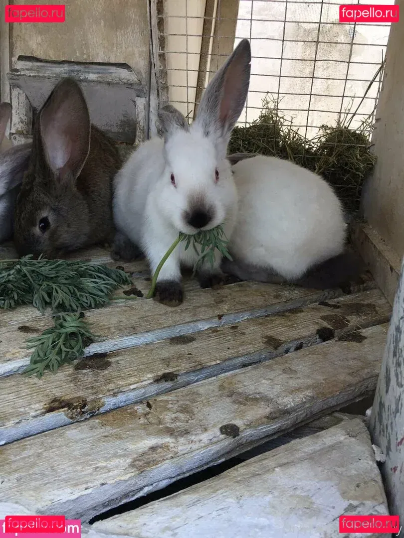 mirniy Onlyfans Photo Gallery 