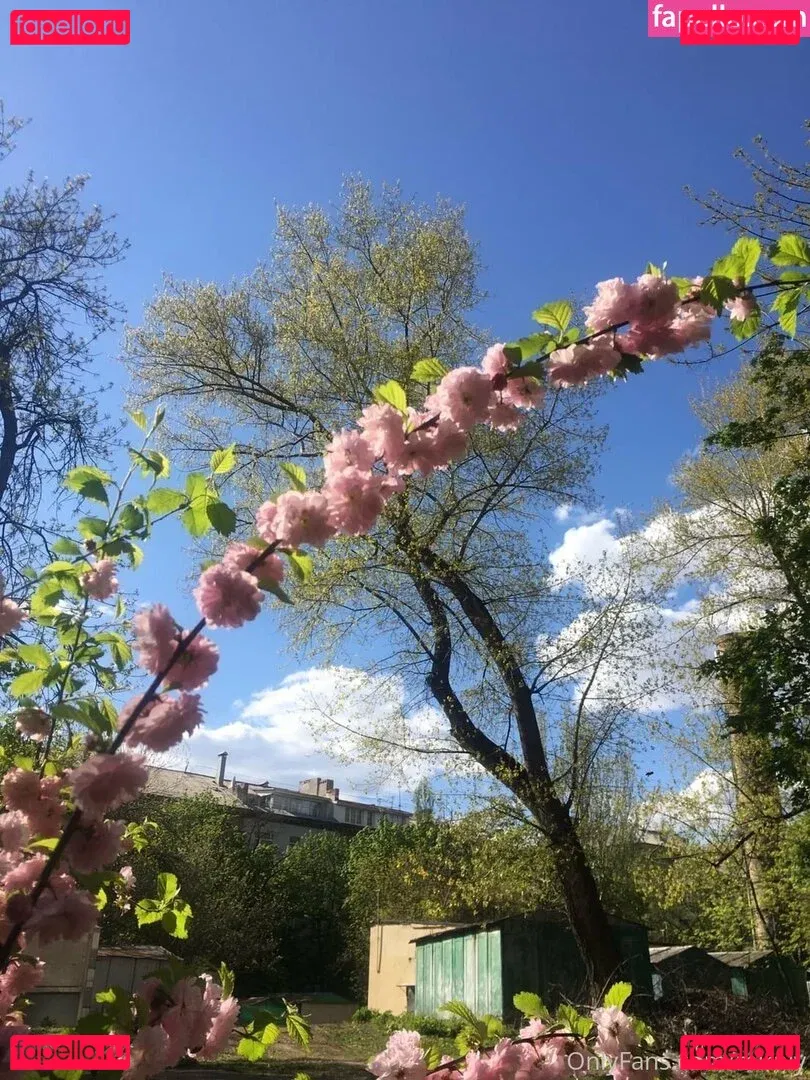 mirniy Onlyfans Photo Gallery 