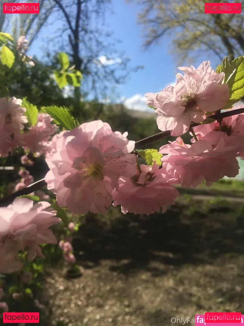 mirniy Onlyfans Photo Gallery 