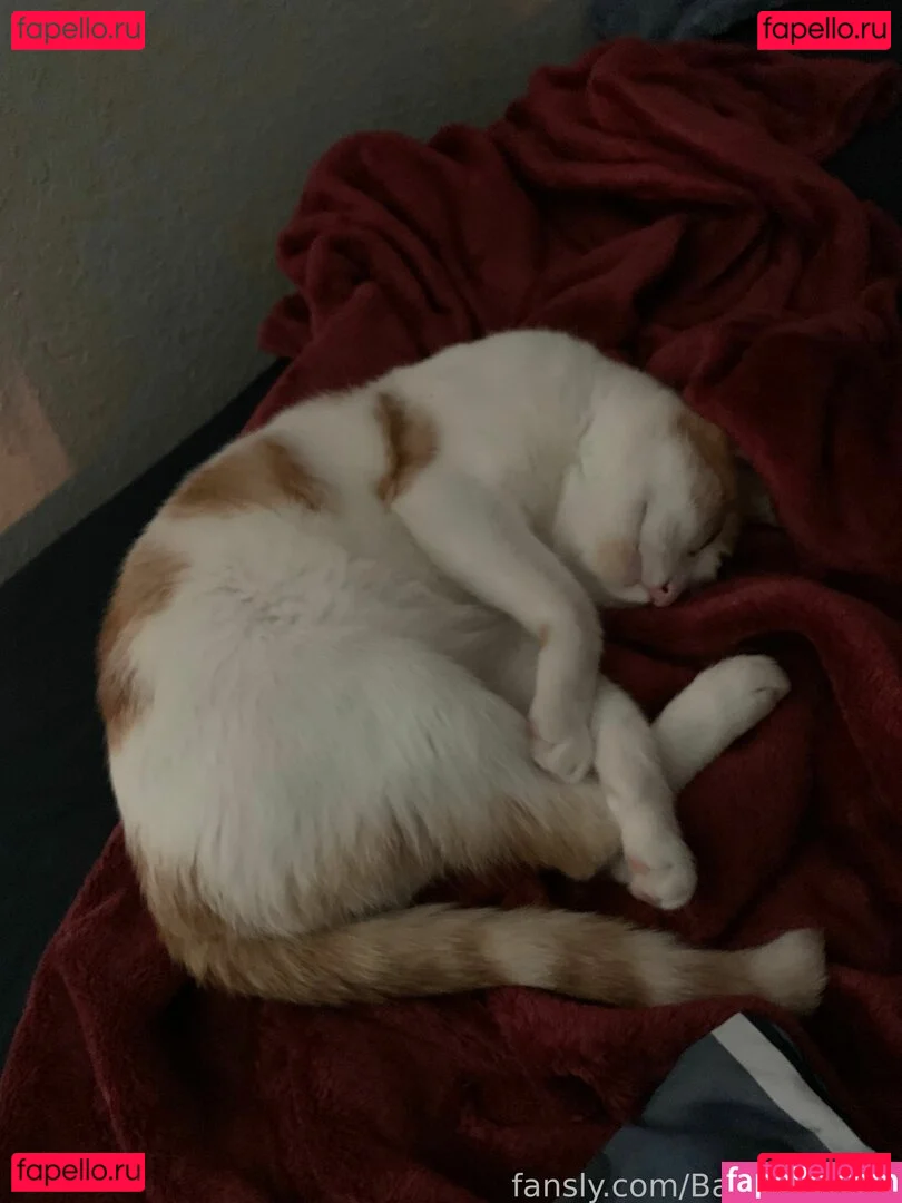 BaileyAbunai Onlyfans Photo Gallery 