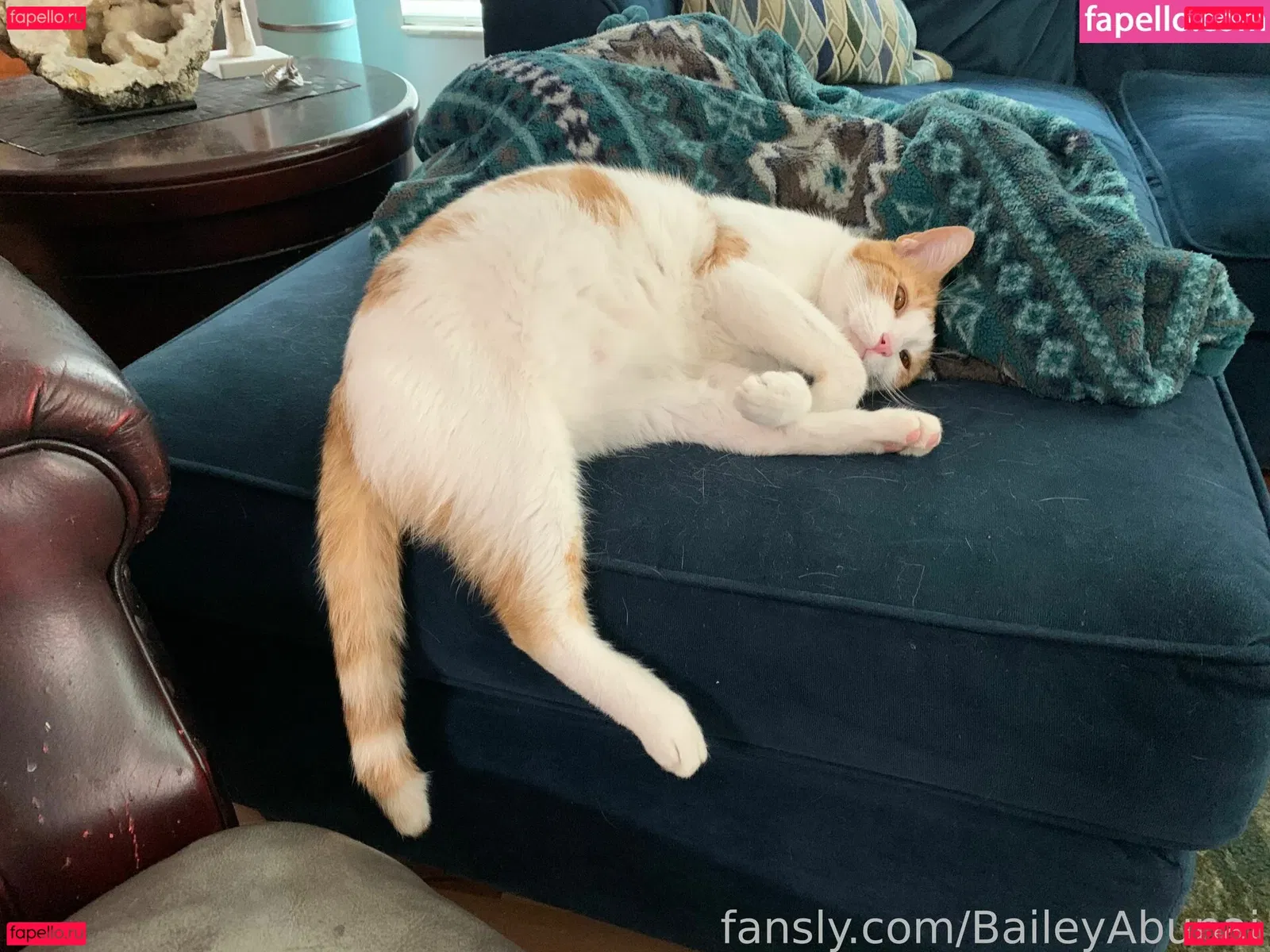 BaileyAbunai Onlyfans Photo Gallery 