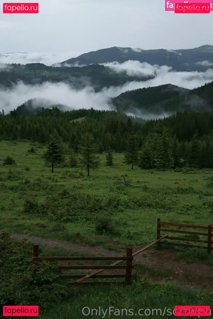 scrtwpn Onlyfans Photo Gallery 